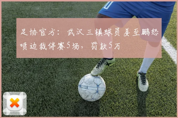 足协官方：武汉三镇球员姜至鹏怒喷边裁停赛5场，罚款5万