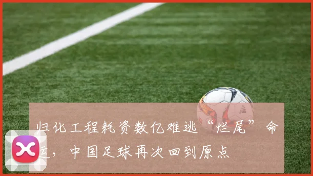 归化工程耗资数亿难逃“烂尾”命运，中国足球再次回到原点