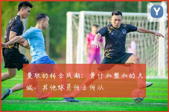 曼联的转会风潮：费什加盟加的夫城，其他球员何去何从